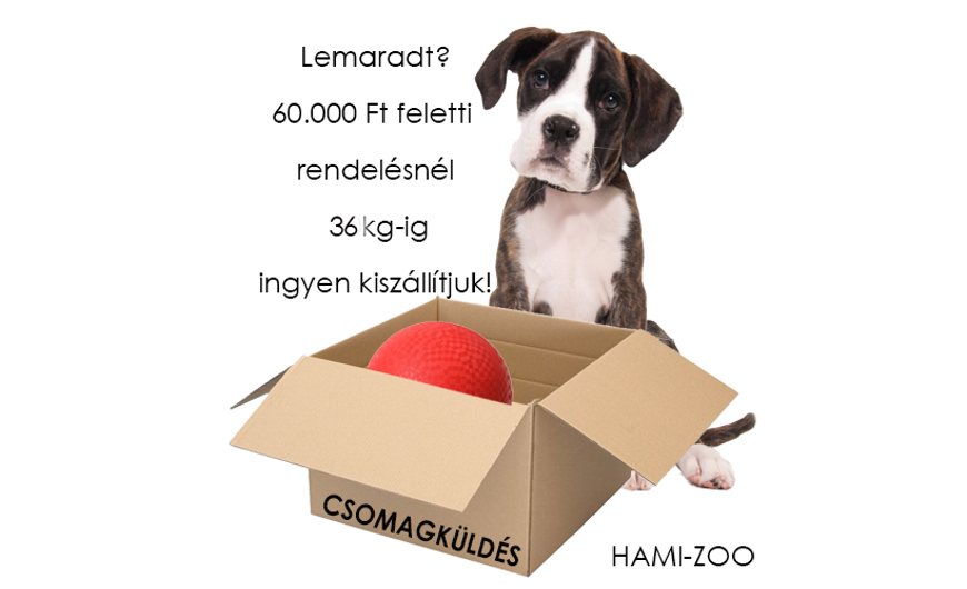Csomagküldés - ingyenes lehetőség